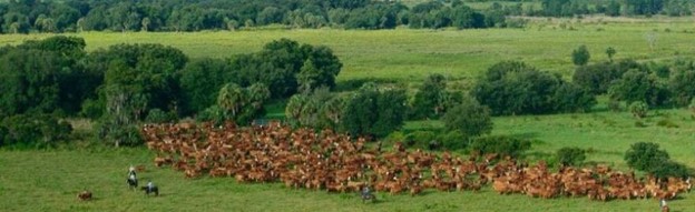 Protection of 85,000-plus acres of working Florida farms, ranches gets approval